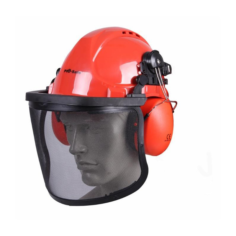Professional protective helmet with visor and earphones