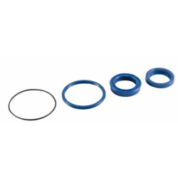 SEAL KIT FOR CYLINDER HEAD DIAM. 20 mm ALES. 32