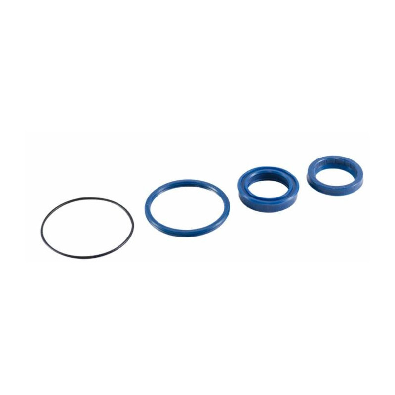 SEAL KIT FOR CYLINDER HEAD DIAM. 20 mm ALES. 32