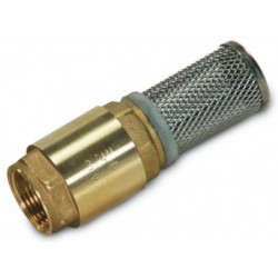 Stainless steel bottom strainer G 2" with check valve