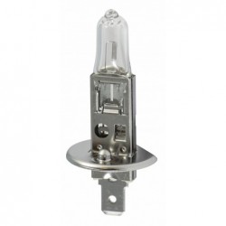 Ampoule Osram 12V 55W H1 (P14,5S)