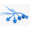 Pack of 5 blue dust caps for 1/2" couplings
