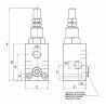 Pressure relief valve manual override 1/2" -180 bars 70 Liters